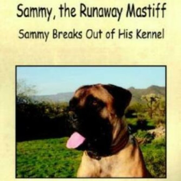 "Sammy the Runaway Mastiff"  Sammy is a Mastiff dog - Picture 1 of 6